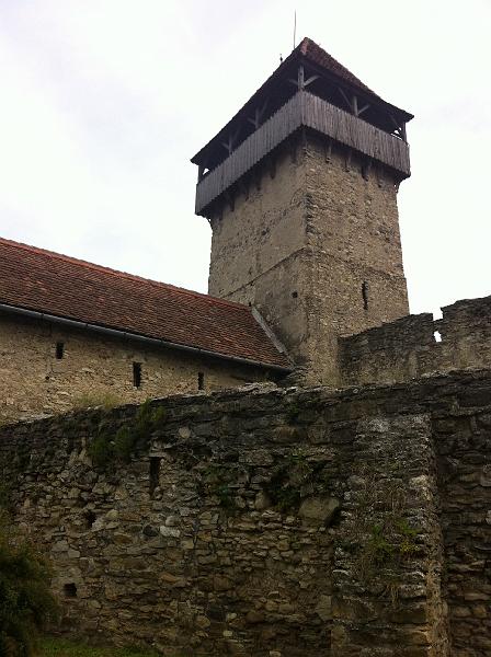 photo (15).JPG